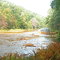The Red Moshannon along the Allegheny Front Trail