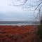 Black Moshannon State Park