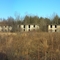 Concrete City, Nanticoke, PA