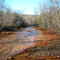 Newport Creek downstream of outfall