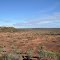 Baldy Top Lookout looking west