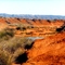 Willochra Creek