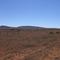 AUSTRALIA, SA, Flinders Ranges, Quorn Hawker Road