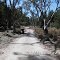 Near Quorn, SA