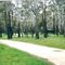 Mt Buangor State Park; Middle Creek Camp Ground