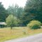 Mt Cole State Forest: Fortes camp ground