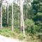 Mt Cole State Forest: Richards Camp Ground