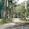 Mt Cole State Forest: Ditchfield Camp Site