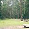 Mt Cole State Forest: The Glut camp ground
