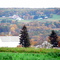 Fall in Western PA