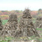 Amish Field Wilmington Twp., PA