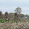 Amish Fields Wilmington Twp., PA