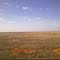 Scenery from Indian Pacific Train (heading south)