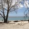 Panoramio view Fraser Island