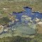 Patterned Fen of Jabiru Swamp, Fraser Island, Queensland