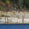 Sharpes Bay Development