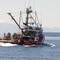 CCGS NEOCALIGUS