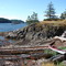 North Copeland Island