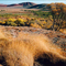 Gawler Ranges