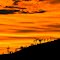 Pilbara Sunset