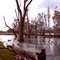 Murray River