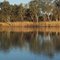 River Murray nr Berri 1