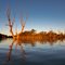 Murray River Billabong