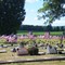 Venango Cemetery, Venango, PA 2