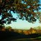 Nice fall morning in Crawford County, PA