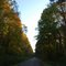 Fall View of Mount Pleasant Road