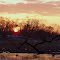 Spring Sunrise
