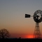 Australian windmill and boab tree