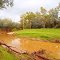 Panorama Creek