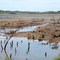 Lake near Cossack