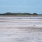 Cossack Salt Lake