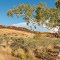 Red Rocks and River Gums