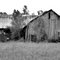 Snake Barn