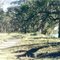 Happy Valley Landing, Robinvale State Forest
