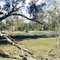 Margooya Lagoon, Robinvale State Forest