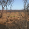 Flinders Chase after bushfires in 2007