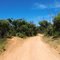 Flinders Chase