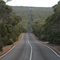 bush road