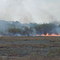 Bush fire