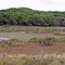 Rottnest Island - Barker Swamp panorama, April 2009
