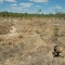 Bosworth_Ck_gully_site