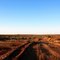 Rudall River NP (Karlamilyi)
