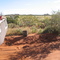 Rudall River National Park. Sign at junction for DQB (Desert Queen Baths)