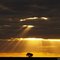Outback Australia New South Wales