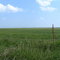 This Is Oklahoma