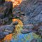 Sacred Canyon